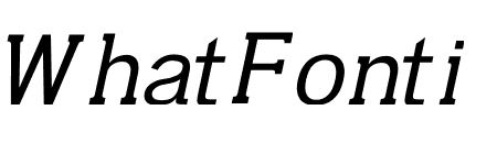 SKINEX BOOK ITALIC