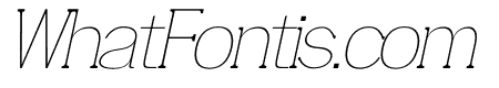 SKINEX THIN ITALIC