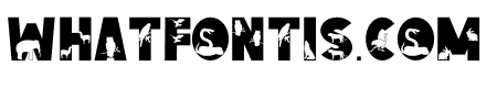 Wild Animals