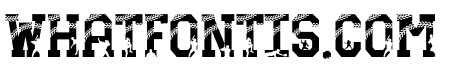 Baseball Players