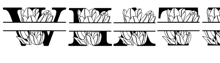 Tulip MNGRM Split