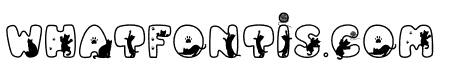 CATCLUB