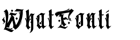 Aveinatortia-Regular
