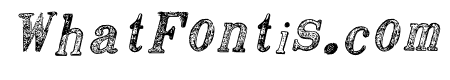 Rough Times Italic