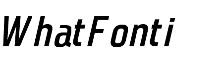 Monton Medium Italic