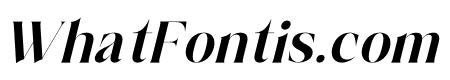 Salgesis Italic