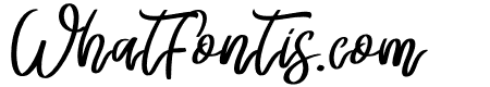 Youth Love Italic