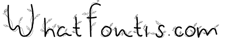 qhawy