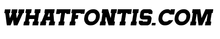 TriggerThinItalic-Italic