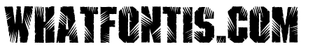 Lacerated-Regular