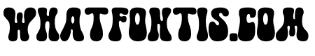 Tiger Cartoon Regular