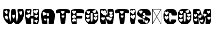 Cutie Pie Bold