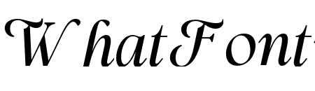 PolysterAuthenticitalic-Reg