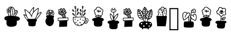 Cute Cactus Regular