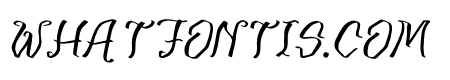 Merona Danger Italic