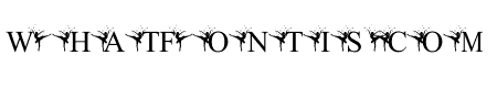 Bellerina Monogram Regular