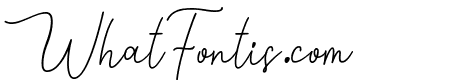 Holisty