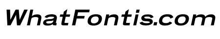 DIX-NEUF ITALIC