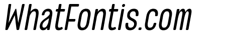 Roboga Thin Italic