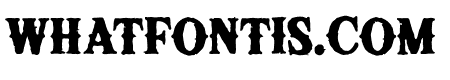 KleaderSerif-Rough