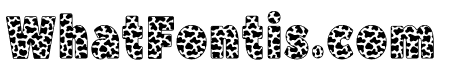 Cow Moo