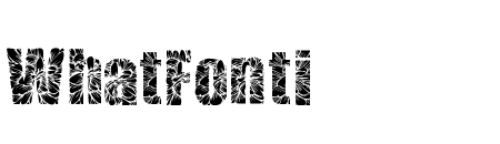 Dailsy Bold