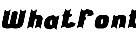 THE ACTION HERO Bold Italic