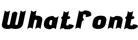 THE ACTION HERO Italic