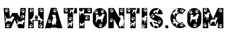 Doggy