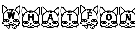 NN Cat3
