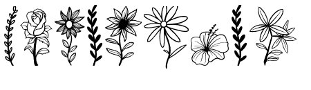 Sun Flower Extras