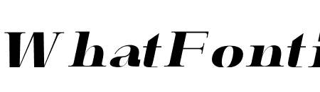 QINTER Italic