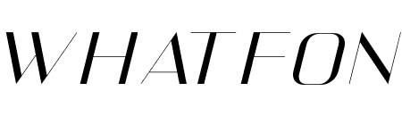Veganzone Armstrong Sans Serif Italic