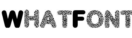 Capital Leopard Regular