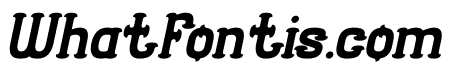 SEASHORE Bold Italic
