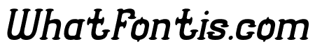 SEASHORE Italic