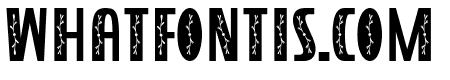 Sonia Diary