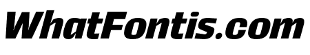 Rogy Bold Italic