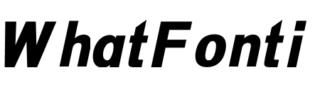 SWISSN BLACK ITALIC