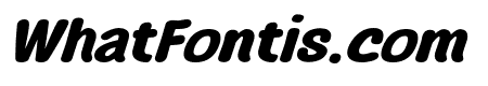 C9_AGAKE Bold Italic