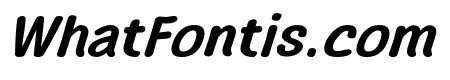 C9_AGAKE Medium Italic