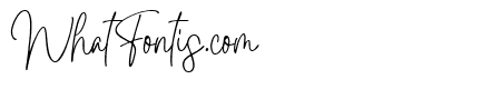 Bella Signature 