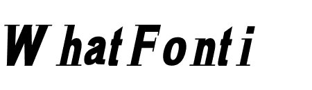 FL?NER ITALIC