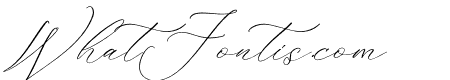 Fattrios Schudnel Italic