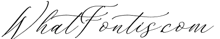 Whitley Pattrycia Italic