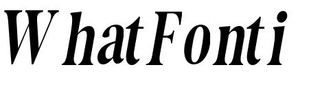 The Documentary Italic Italic