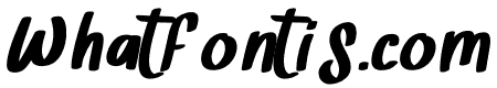 The Show Italic