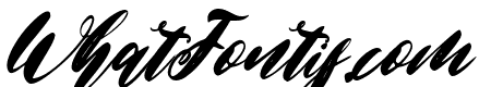 Christmas Everything Italic