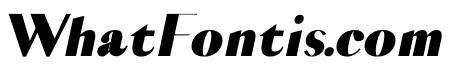 VOGUISH Black Italic