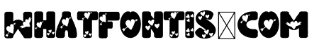 Cyntee